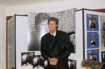 David Hasselhoff Poster 3118748