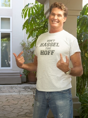 David Hasselhoff Poster 3955036