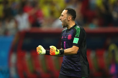 David Ospina Poster 3337911