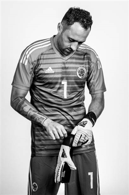 David Ospina Poster 3337912