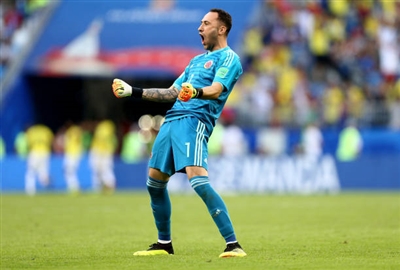 David Ospina Poster 3337920