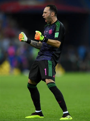 David Ospina Poster 3337924