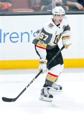David Perron Poster 3571477