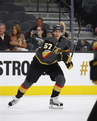 David Perron Poster 3571522