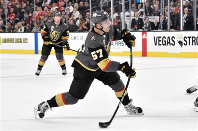 David Perron Poster 3571527