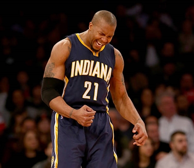 David West Poster 3456496