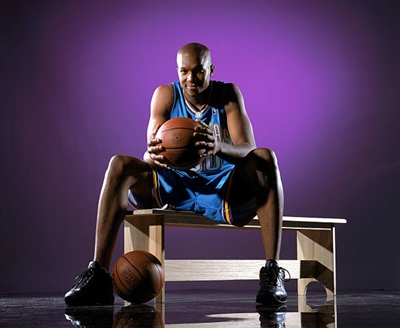 David West Poster 3456524