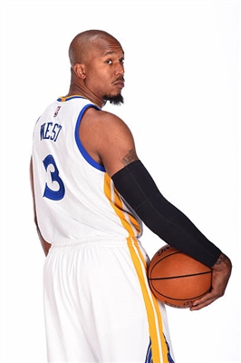 David West Poster 3456609
