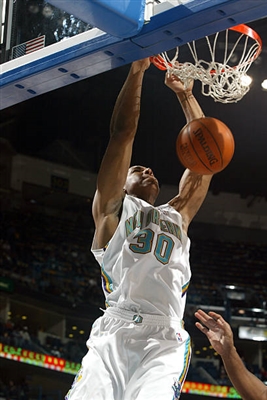 David West Poster 3456621