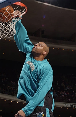 David West Poster 3456638