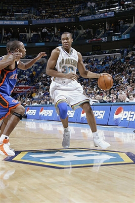 David West Poster 3456646