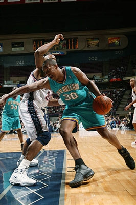 David West Poster 3456648