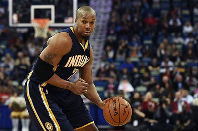 David West Poster 3456686