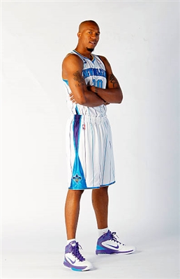 David West Poster 3456692