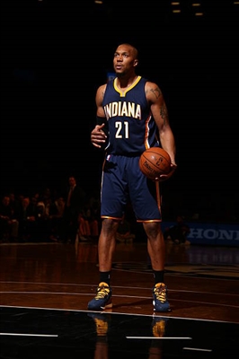 David West Poster 3456696