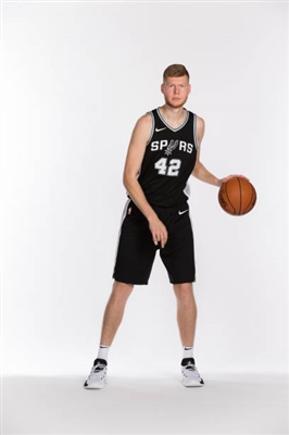 Davis Bertans Poster 3375295