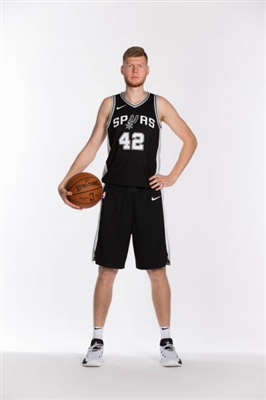 Davis Bertans Poster 3375301