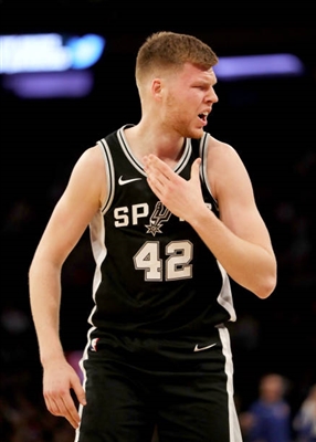 Davis Bertans Poster 3375307