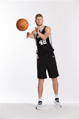 Davis Bertans Poster 3375308