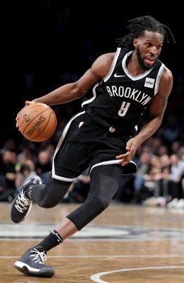 DeMarre Carroll Poster 3380912