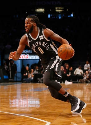 DeMarre Carroll Poster 3380923