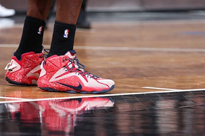 DeMarre Carroll Poster 3380926