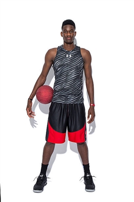 Deandre Ayton Poster 3371252