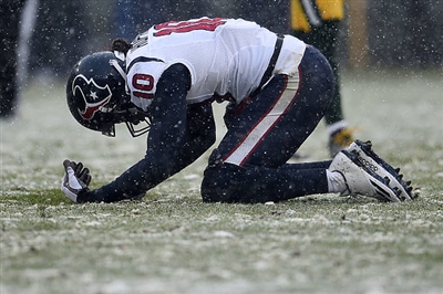 Deandre Hopkins Poster 3477158