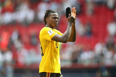 Dedryck Boyata Poster 3338038
