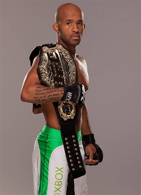 Demetrious Johnson Poster 3516538