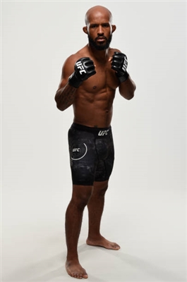 Demetrious Johnson Poster 3516568