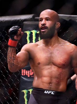 Demetrious Johnson Poster 3516573
