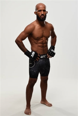 Demetrious Johnson Poster 3516579