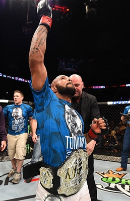 Demetrious Johnson Poster 3516592