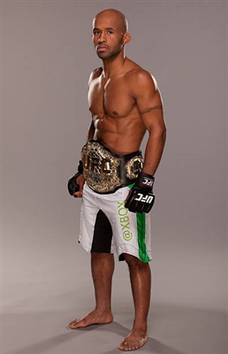 Demetrious Johnson Poster 3516594