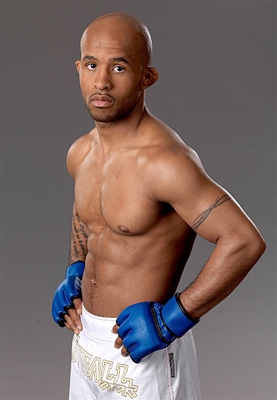 Demetrious Johnson Poster 3516595