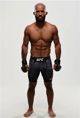 Demetrious Johnson Poster 3516598