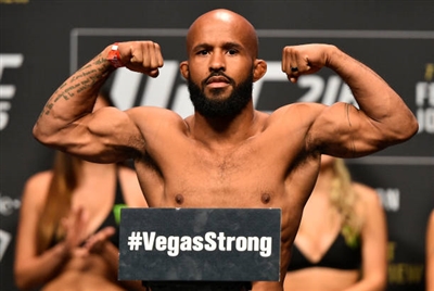 Demetrious Johnson Poster 3516600