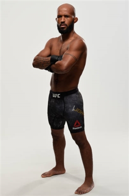 Demetrious Johnson Poster 3516601