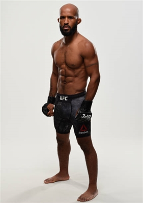 Demetrious Johnson Poster 3516602