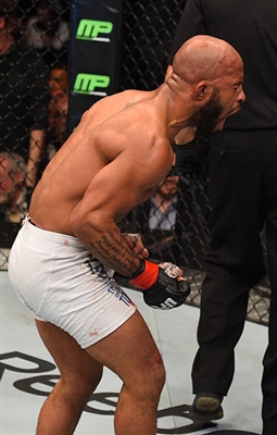 Demetrious Johnson Poster 3516603