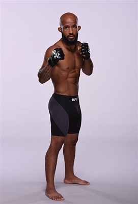 Demetrious Johnson Poster 3516611