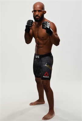 Demetrious Johnson Poster 3516615