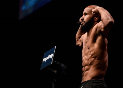 Demetrious Johnson Poster 3516618