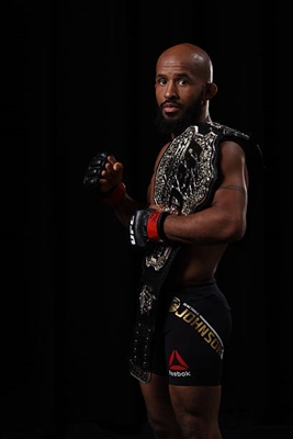 Demetrious Johnson Poster 3516627