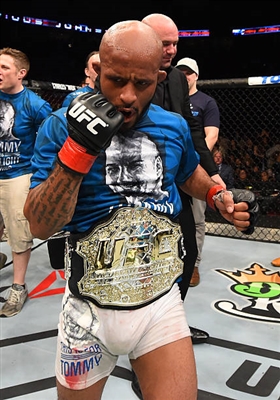 Demetrious Johnson Poster 3516630