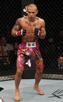 Demetrious Johnson Poster 3516635