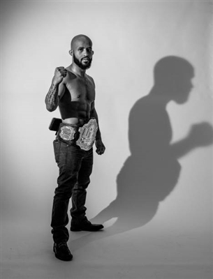 Demetrious Johnson Poster 3516644