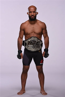 Demetrious Johnson Poster 3516645