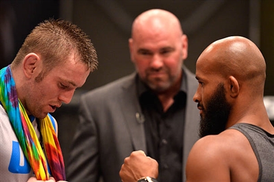 Demetrious Johnson Poster 3516647